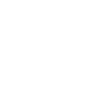 International Export World